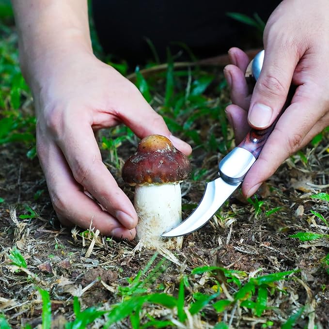 Mushroom Foraging Knife - Folding Knife with Brush and Sheath for Mushroom Lovers